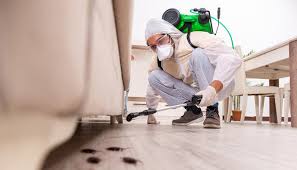 Best Pest Control for Restaurants and Food Service  in East Stroudsburg, PA